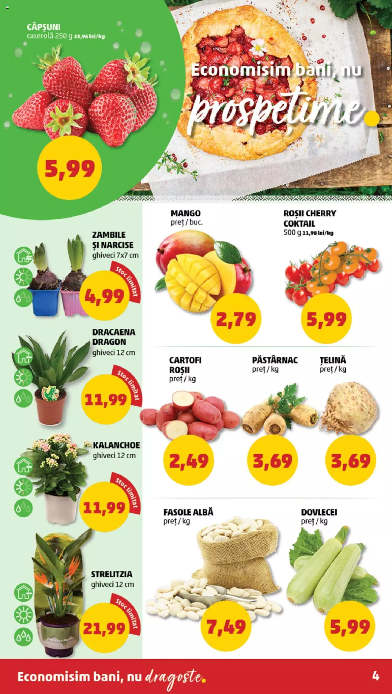 Catalog PENNY Market 25 - 31 Ianuarie 2023 | Pagina 4