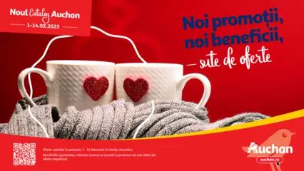 Catalog Auchan