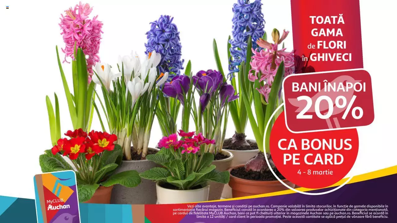 Catalog Auchan 1 - 14 Martie 2023 | Pagina 12