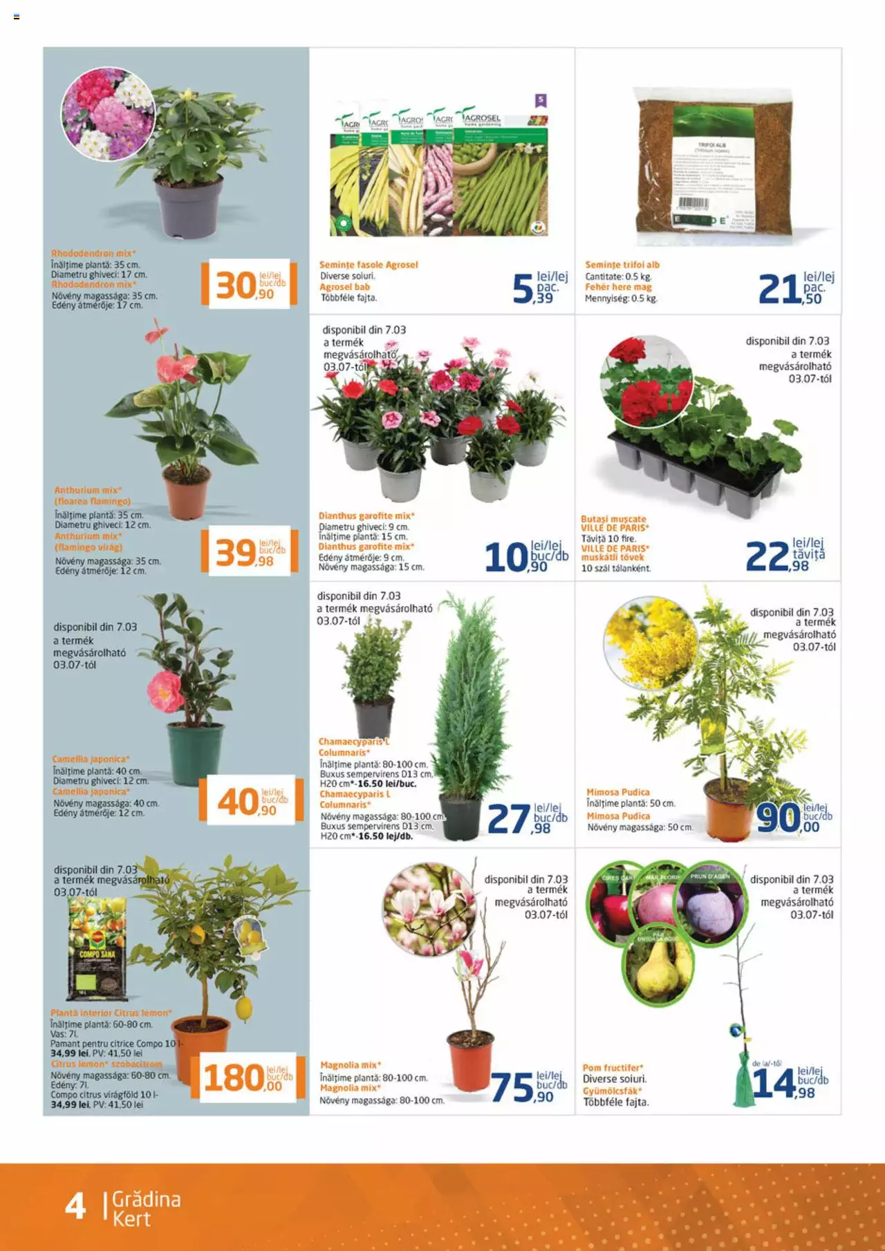 Catalog Dedeman 1 - 31 Martie 2023 | Pagina 4