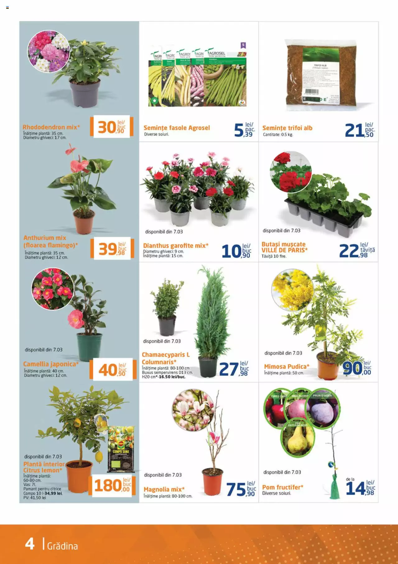 Catalog Dedeman 1 - 31 Martie 2023 | Pagina 4