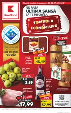 Catalog Kaufland