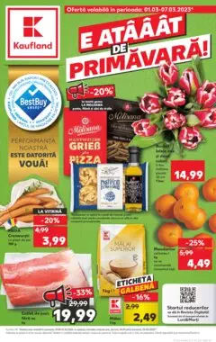 Catalog Kaufland