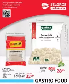Catalog Selgros