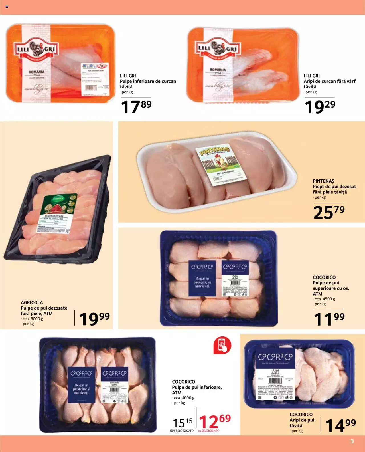 Catalog Selgros 1 - 31 Martie 2023 | Pagina 3