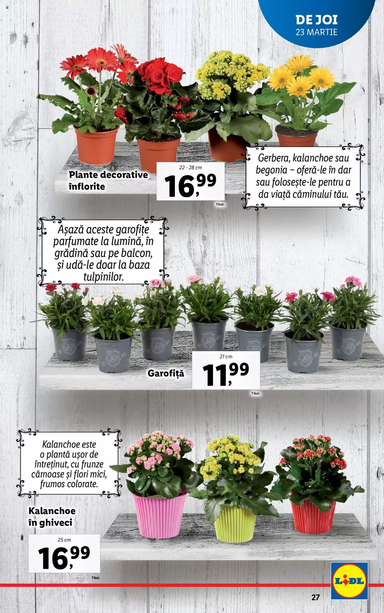 Catalog LIDL 20 - 26 Martie 2023 | Pagina 27