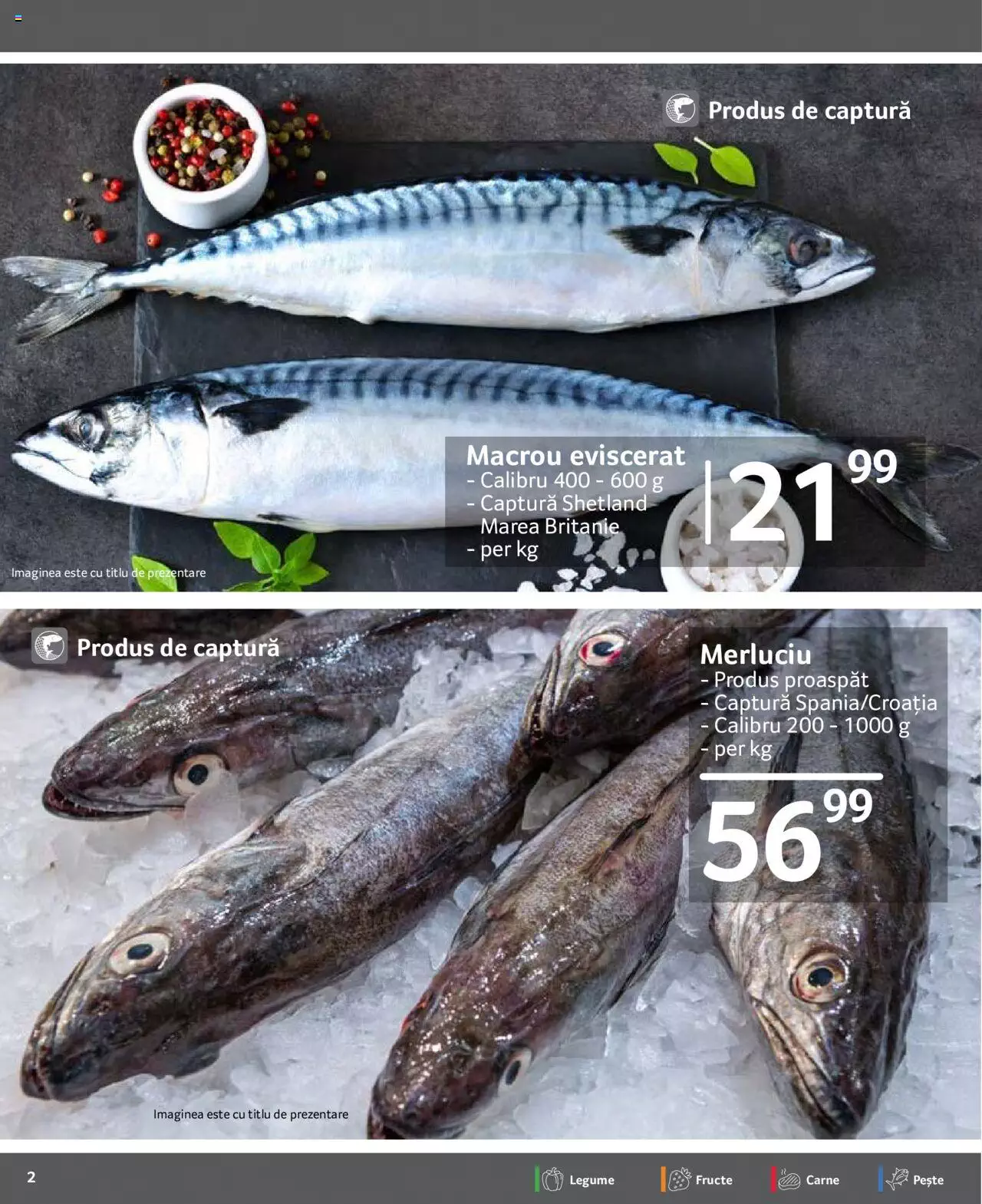 Catalog Selgros 17 - 23 Martie 2023 | Pagina 2