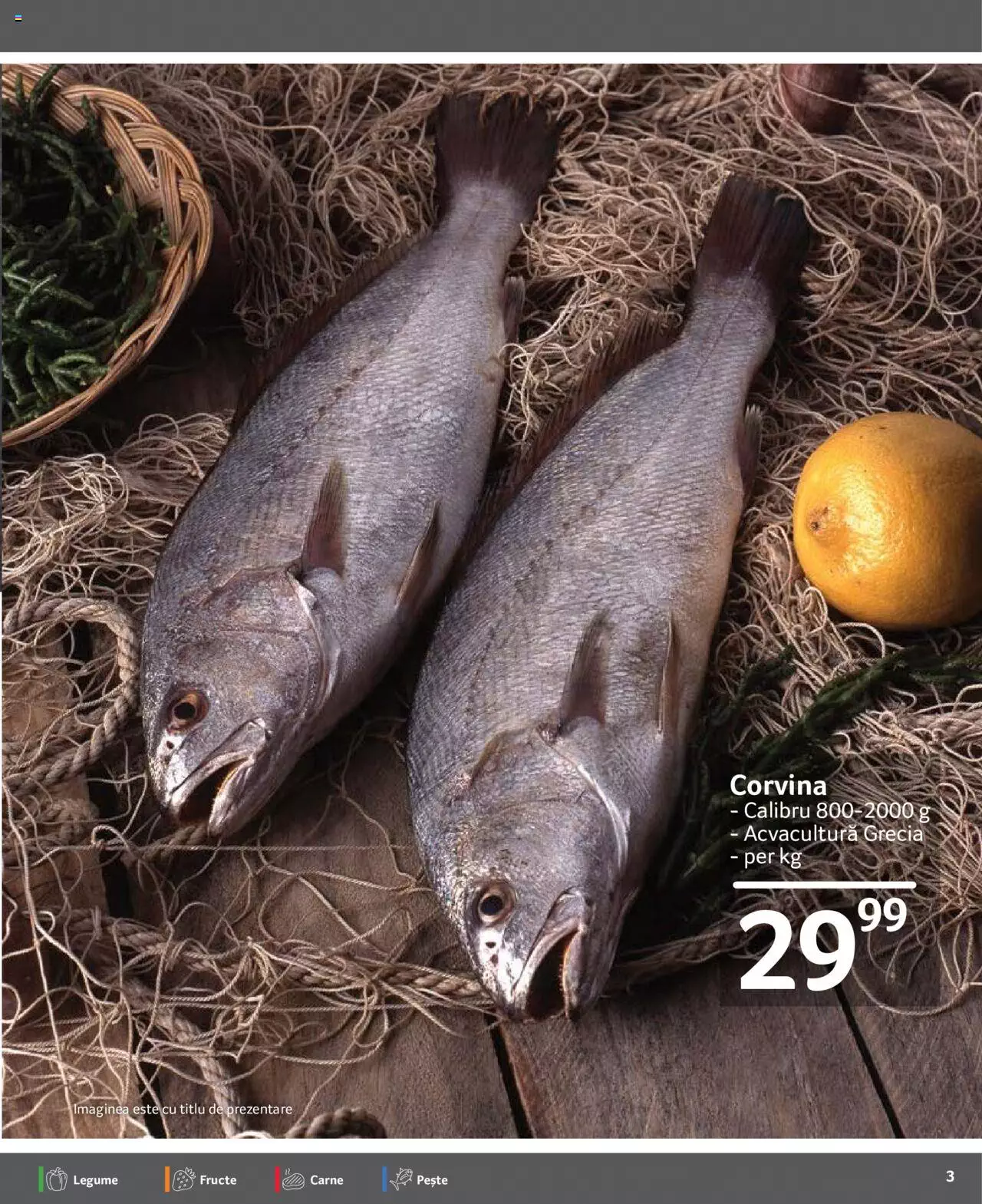 Catalog Selgros 17 - 23 Martie 2023 | Pagina 3