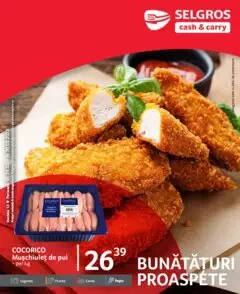 Catalog Selgros