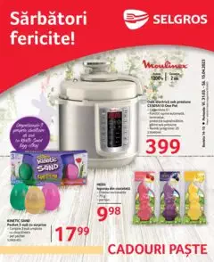 Catalog Selgros