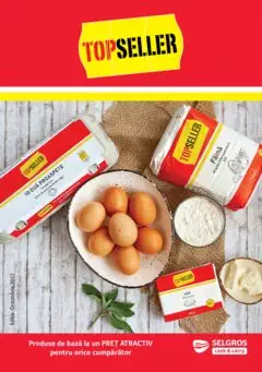 Catalog Selgros