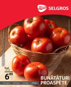 Catalog Selgros
