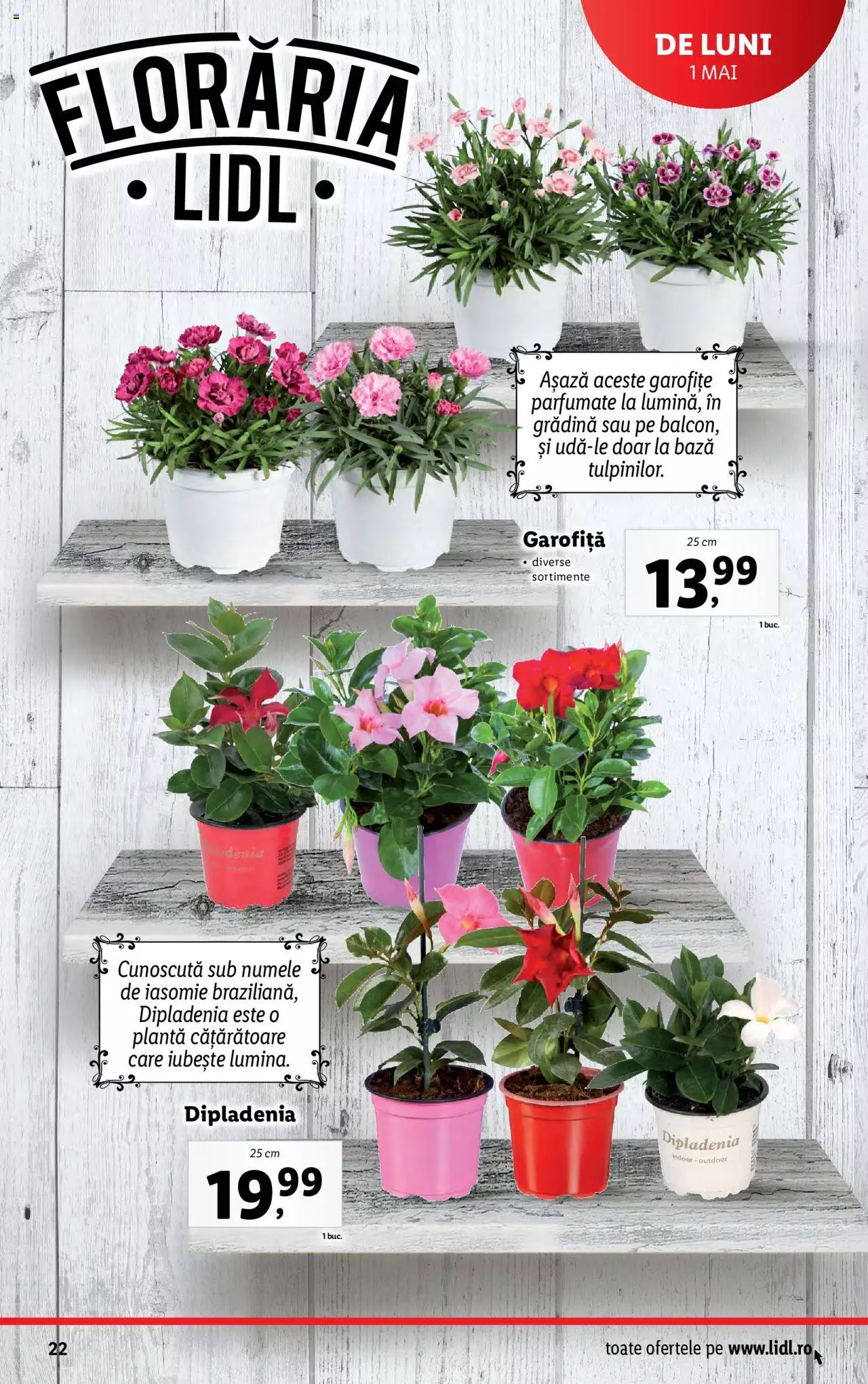 Catalog LIDL 1 - 7 Mai 2023 | Pagina 22