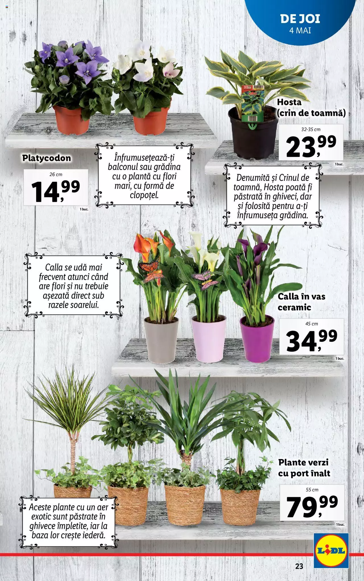 Catalog LIDL 1 - 7 Mai 2023 | Pagina 23