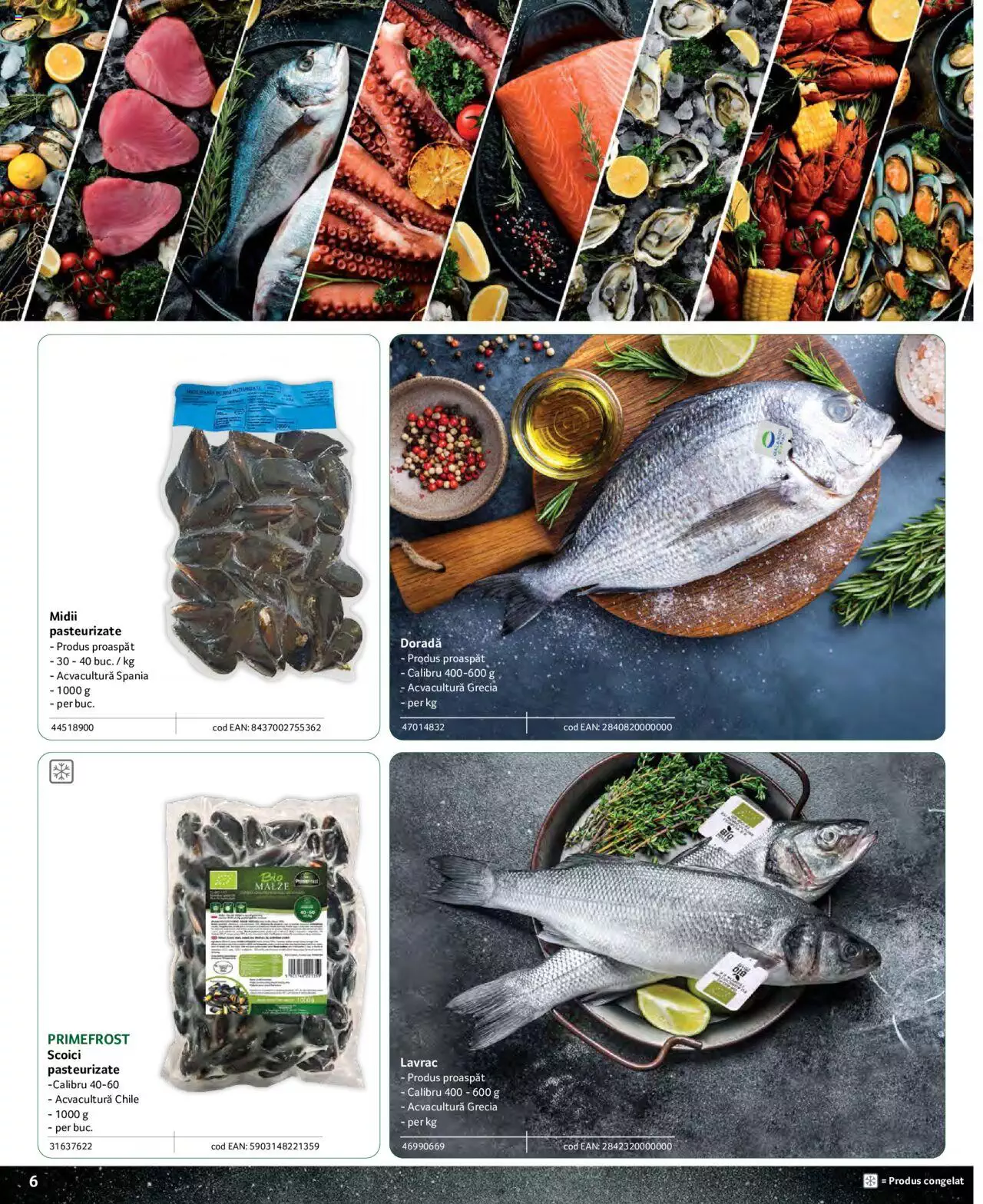 Catalog Selgros 25 Aprilie - 31 Decembrie 2023 | Pagina 6