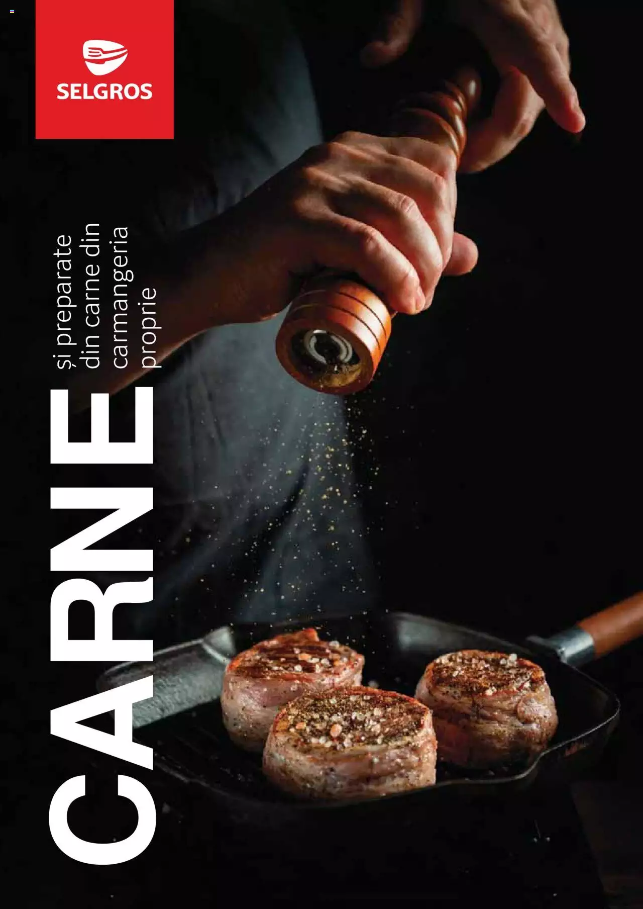 Catalog Selgros 27 Aprilie - 31 Decembrie 2023 | Pagina 1