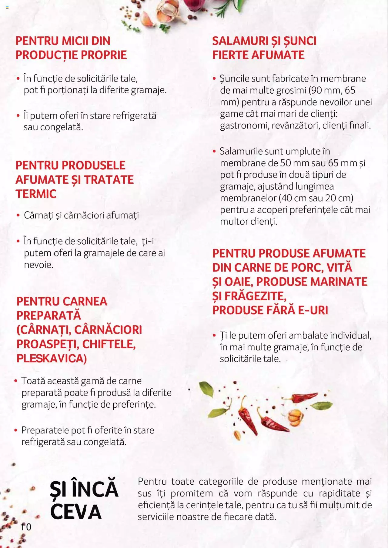 Catalog Selgros 27 Aprilie - 31 Decembrie 2023 | Pagina 10