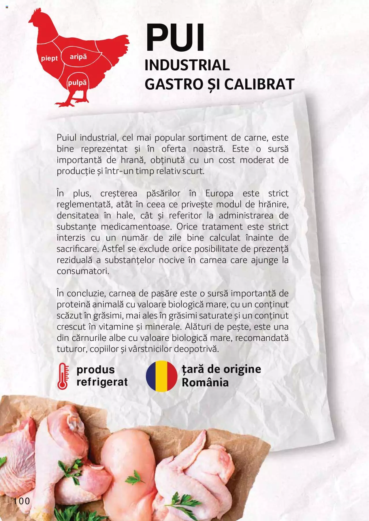 Catalog Selgros 27 Aprilie - 31 Decembrie 2023 | Pagina 100
