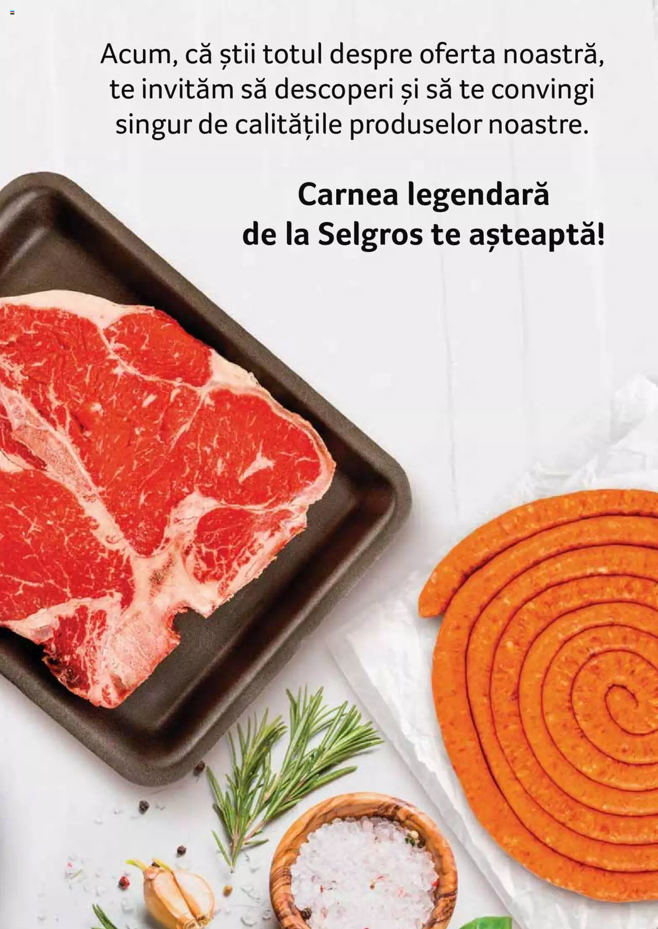 Catalog Selgros 27 Aprilie - 31 Decembrie 2023 | Pagina 107