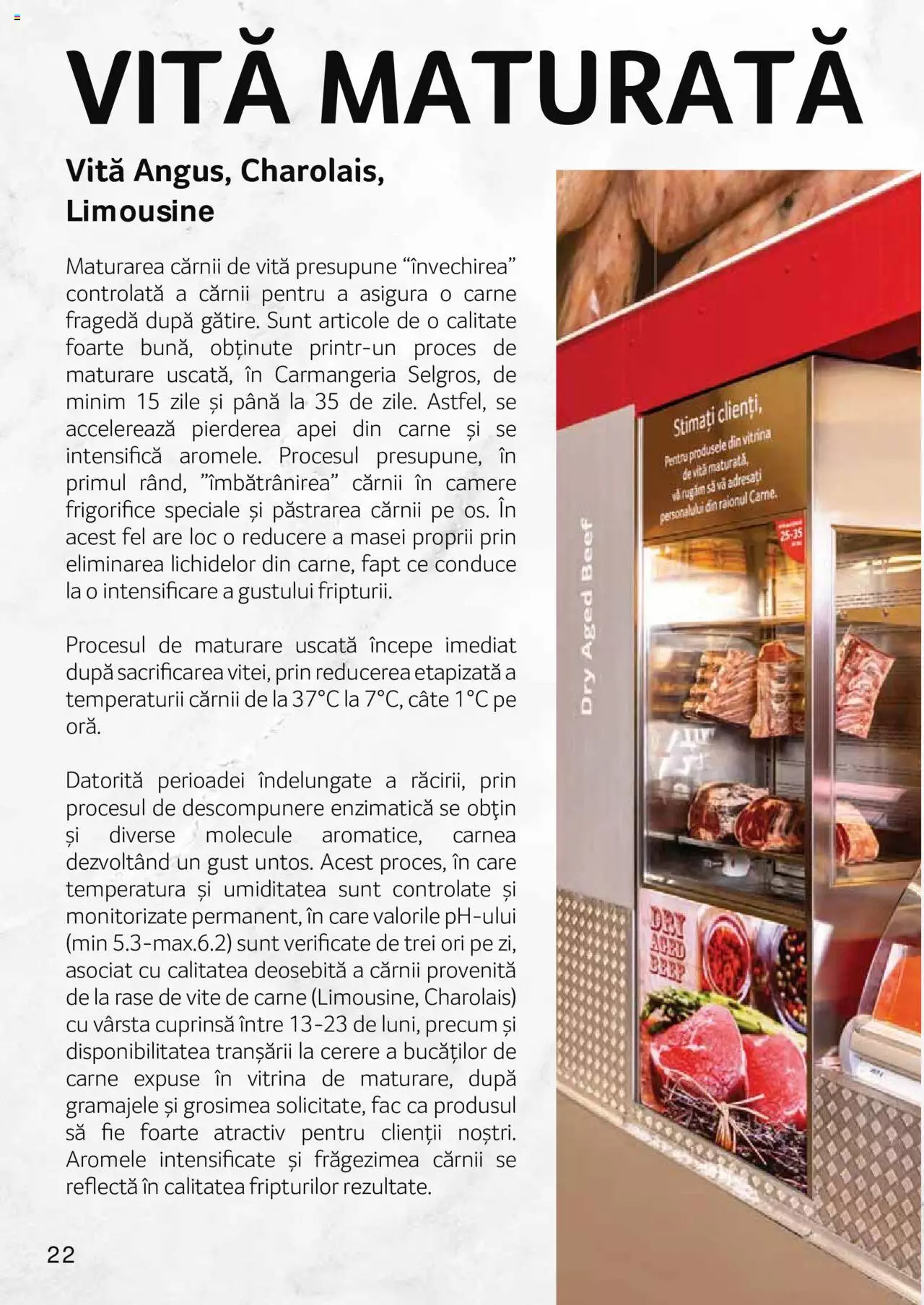 Catalog Selgros 27 Aprilie - 31 Decembrie 2023 | Pagina 22
