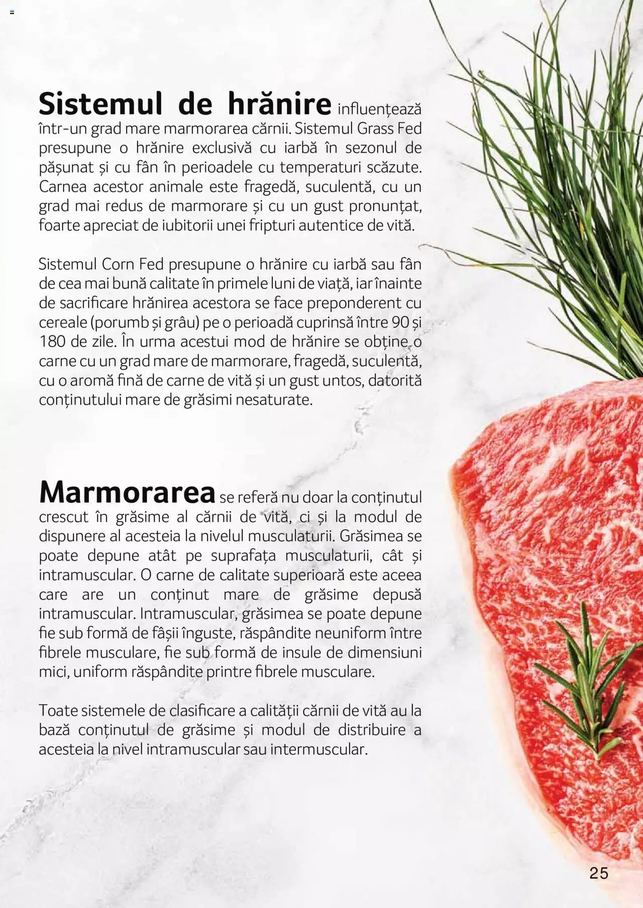 Catalog Selgros 27 Aprilie - 31 Decembrie 2023 | Pagina 25