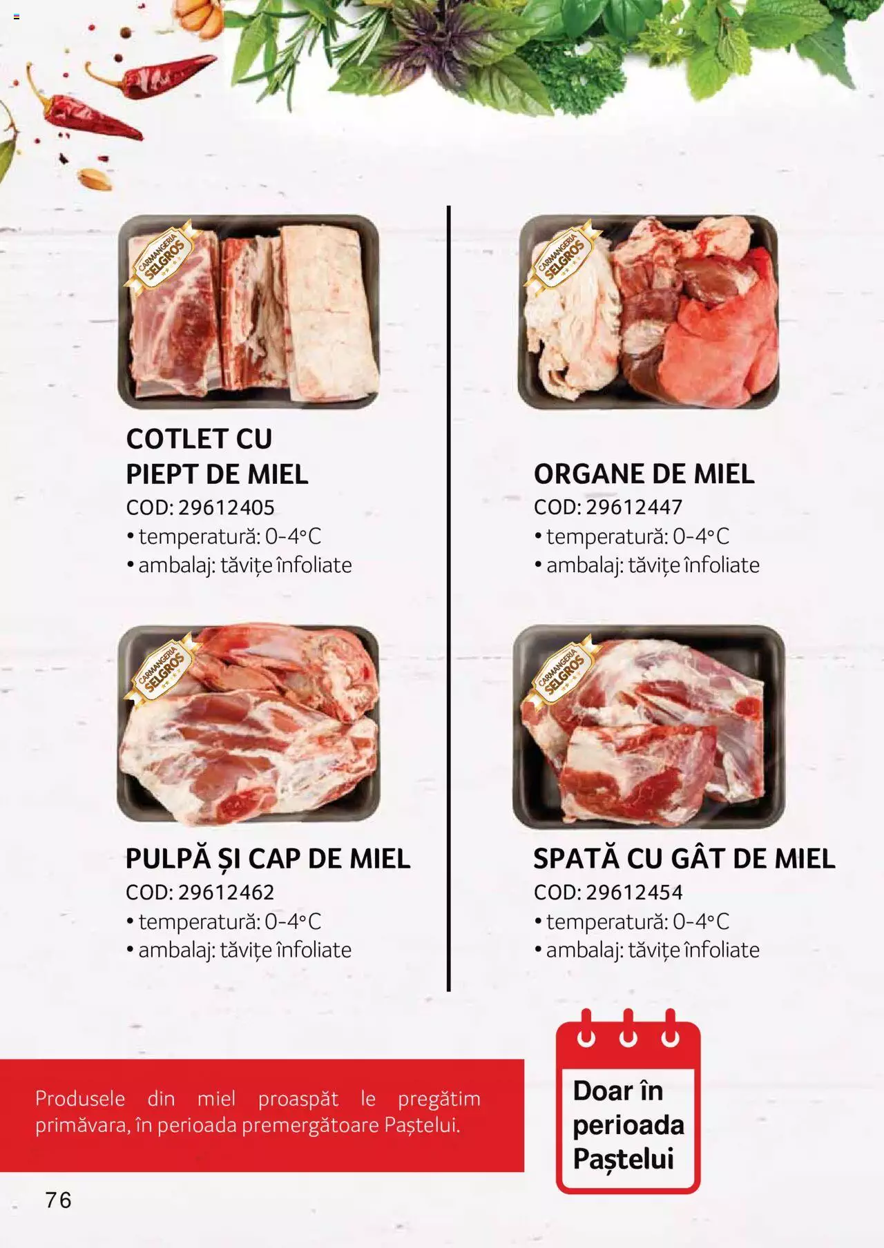 Catalog Selgros 27 Aprilie - 31 Decembrie 2023 | Pagina 76