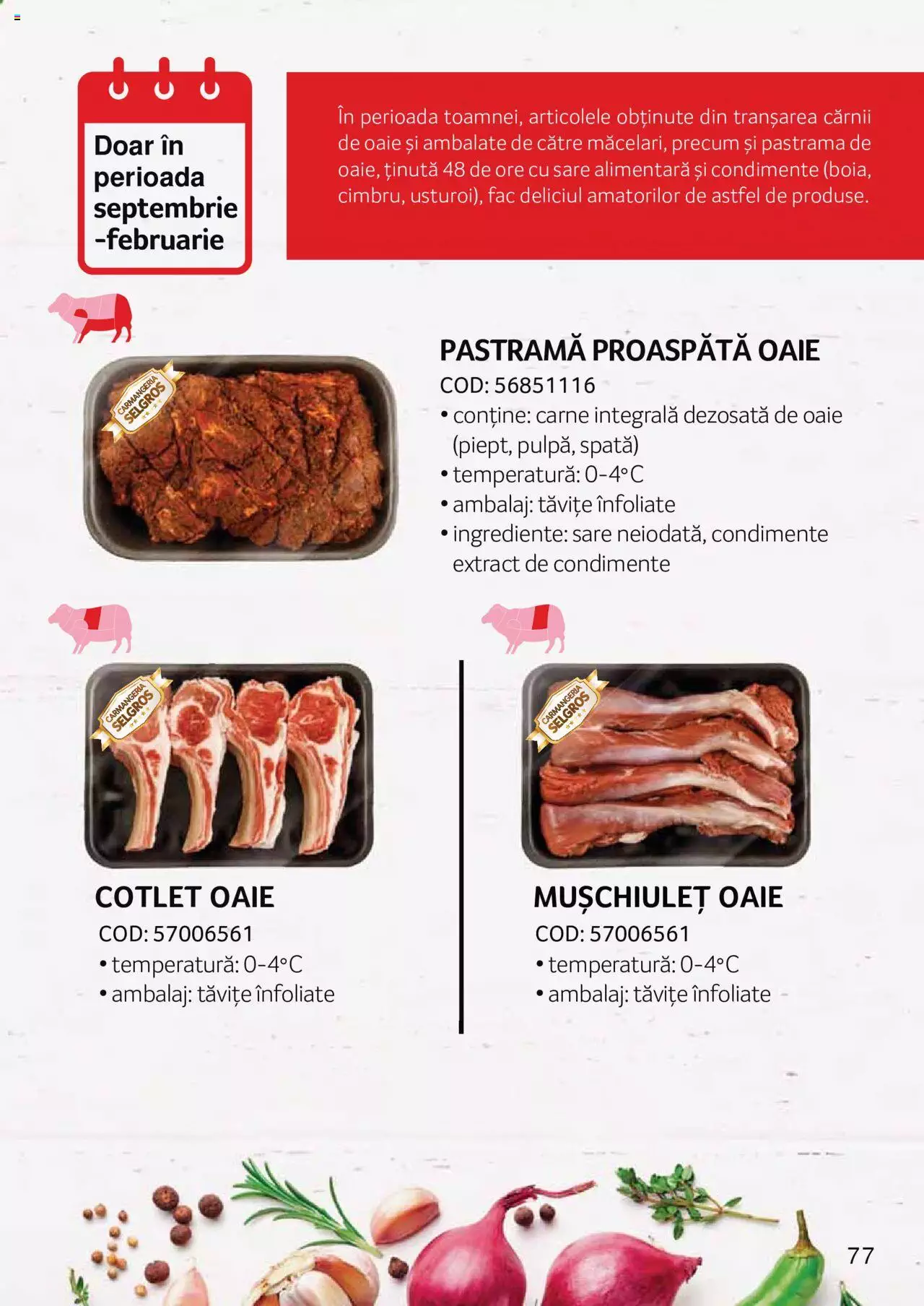 Catalog Selgros 27 Aprilie - 31 Decembrie 2023 | Pagina 77