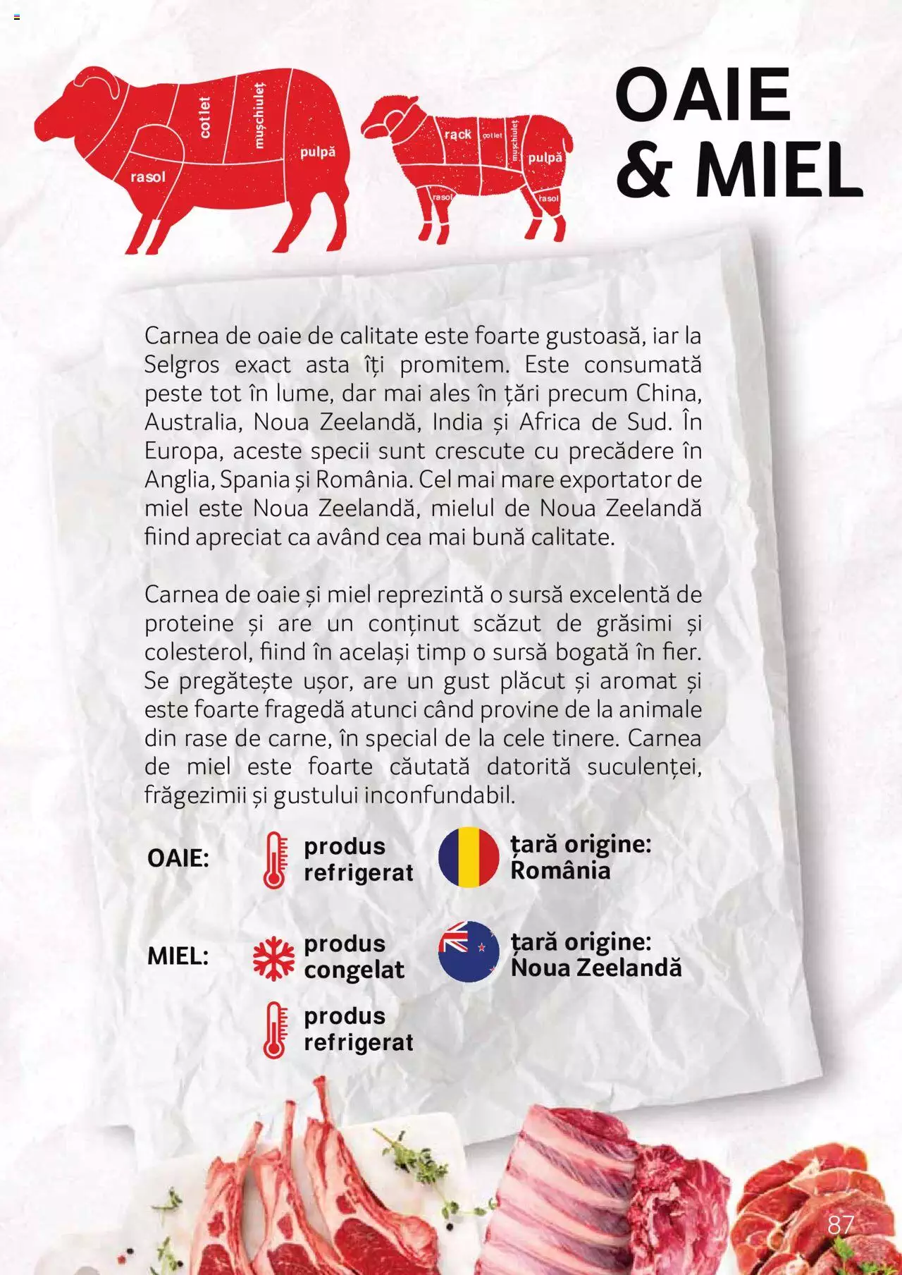 Catalog Selgros 27 Aprilie - 31 Decembrie 2023 | Pagina 87
