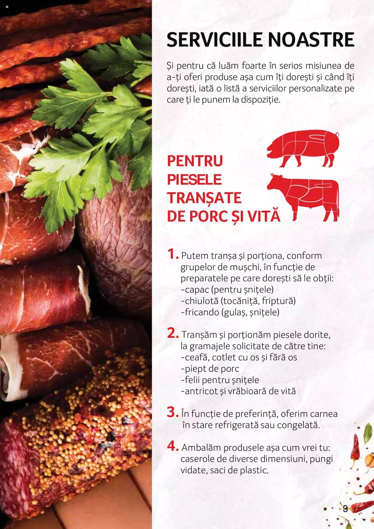 Catalog Selgros 27 Aprilie - 31 Decembrie 2023 | Pagina 9