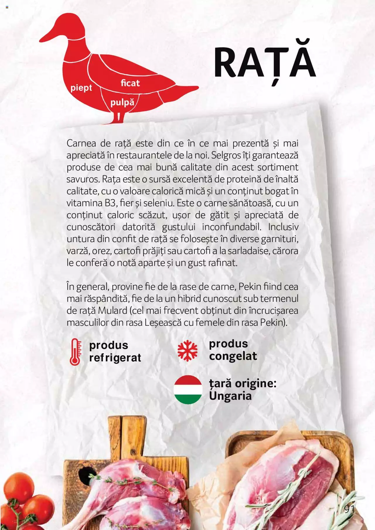 Catalog Selgros 27 Aprilie - 31 Decembrie 2023 | Pagina 91