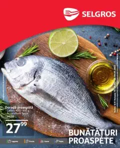 Catalog Selgros
