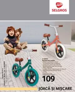 Catalog Selgros