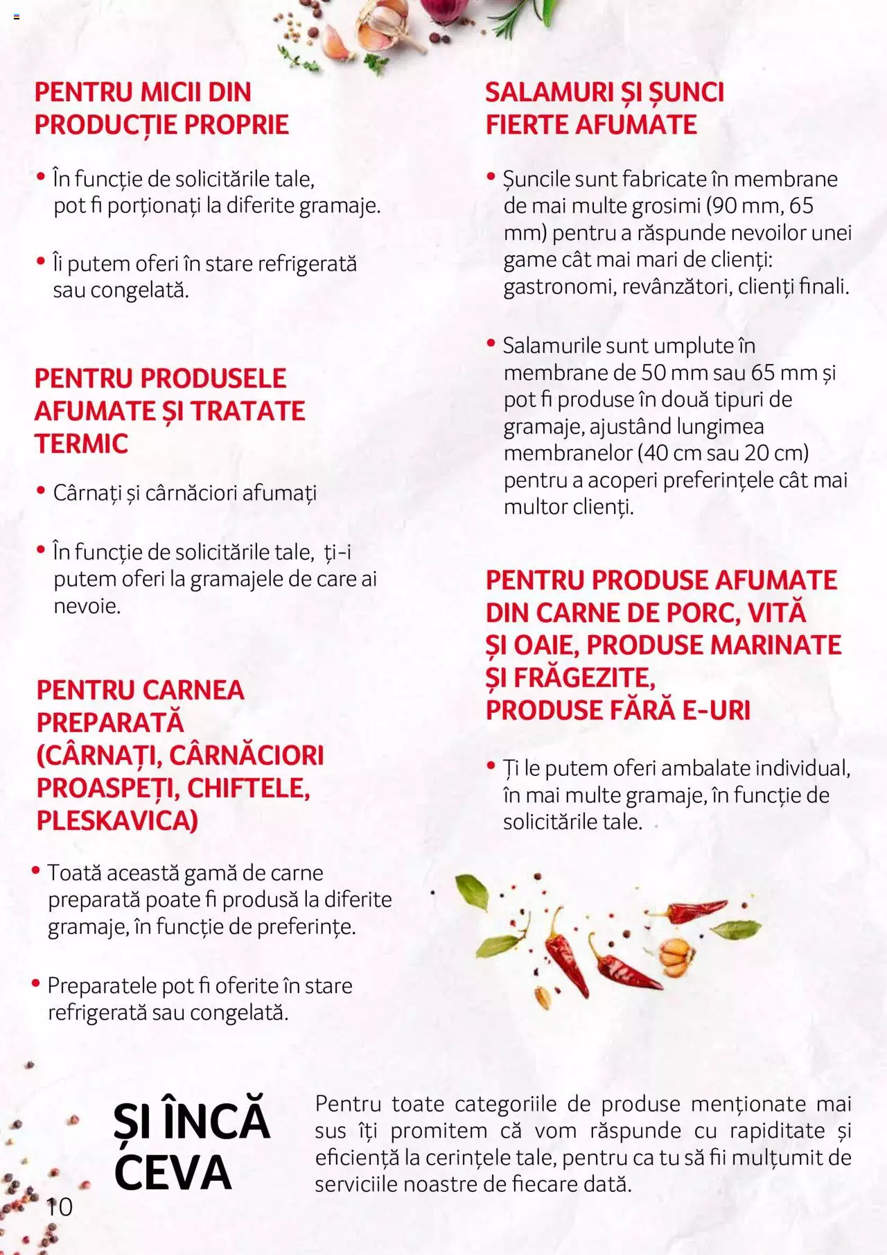 Catalog Selgros 27 Aprilie - 31 Decembrie 2023 | Pagina 10