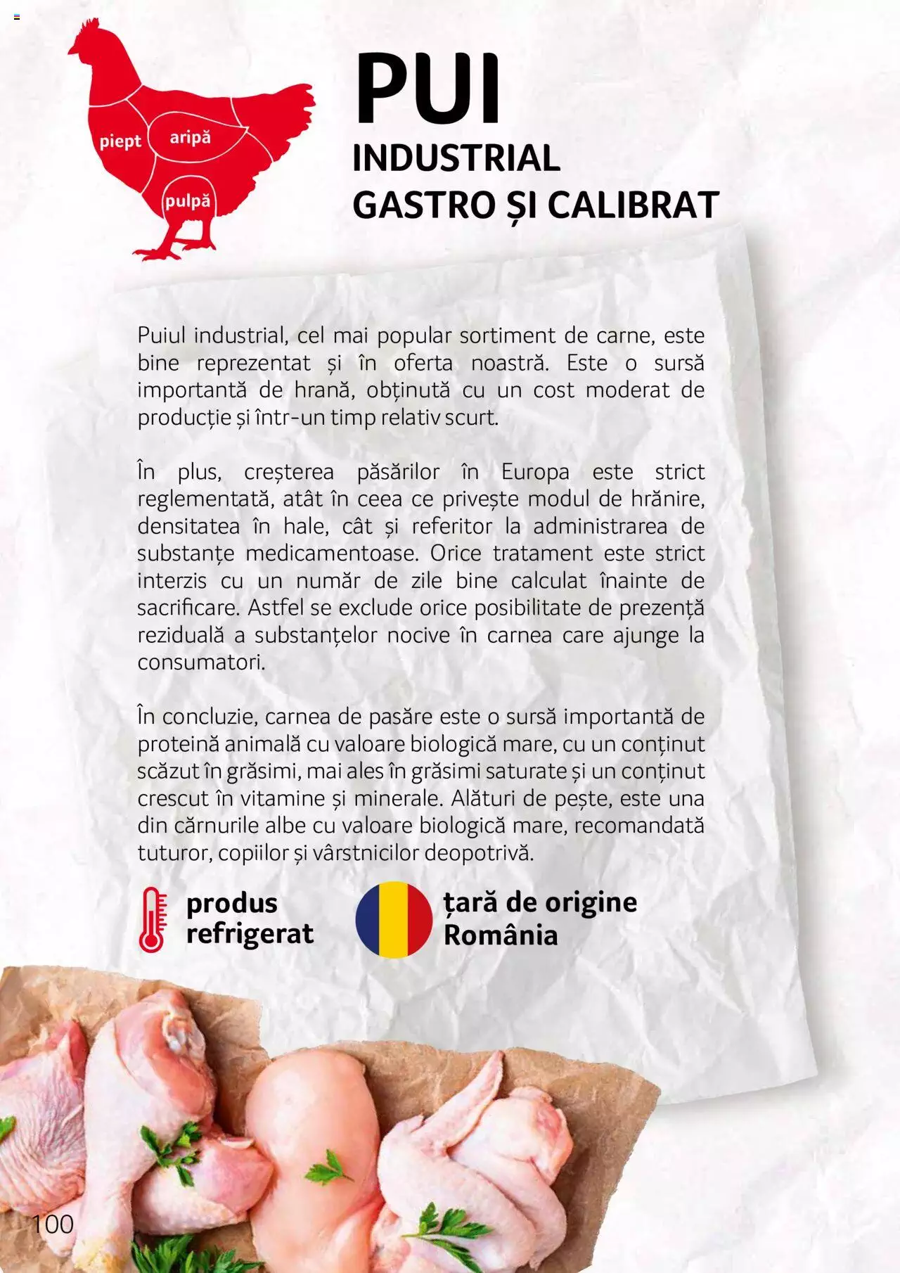 Catalog Selgros 27 Aprilie - 31 Decembrie 2023 | Pagina 100