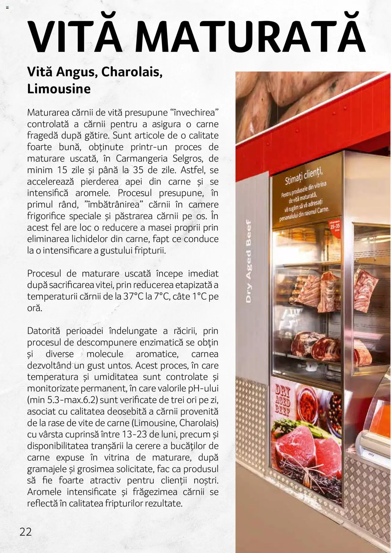 Catalog Selgros 27 Aprilie - 31 Decembrie 2023 | Pagina 22