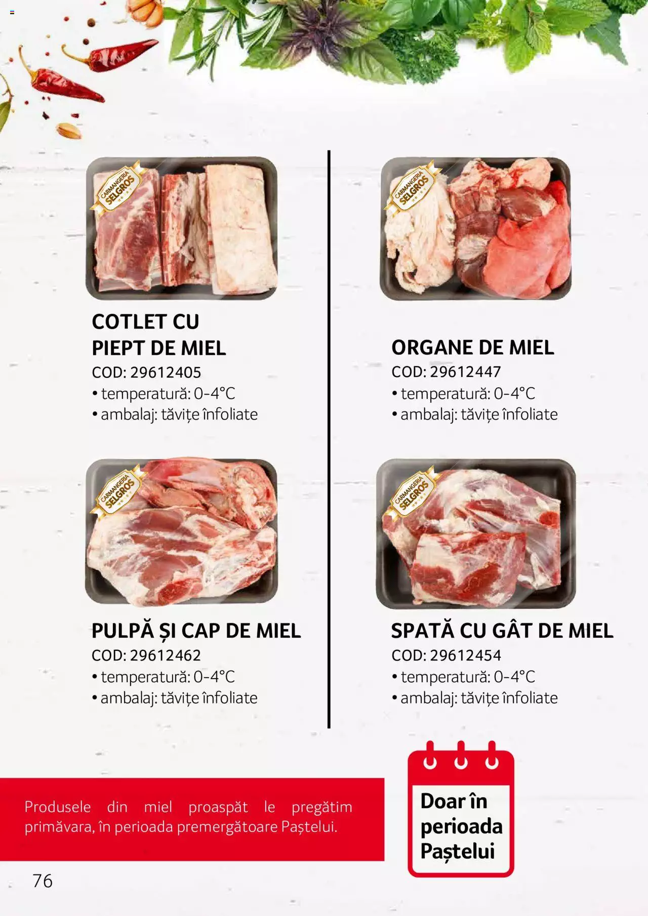 Catalog Selgros 27 Aprilie - 31 Decembrie 2023 | Pagina 76