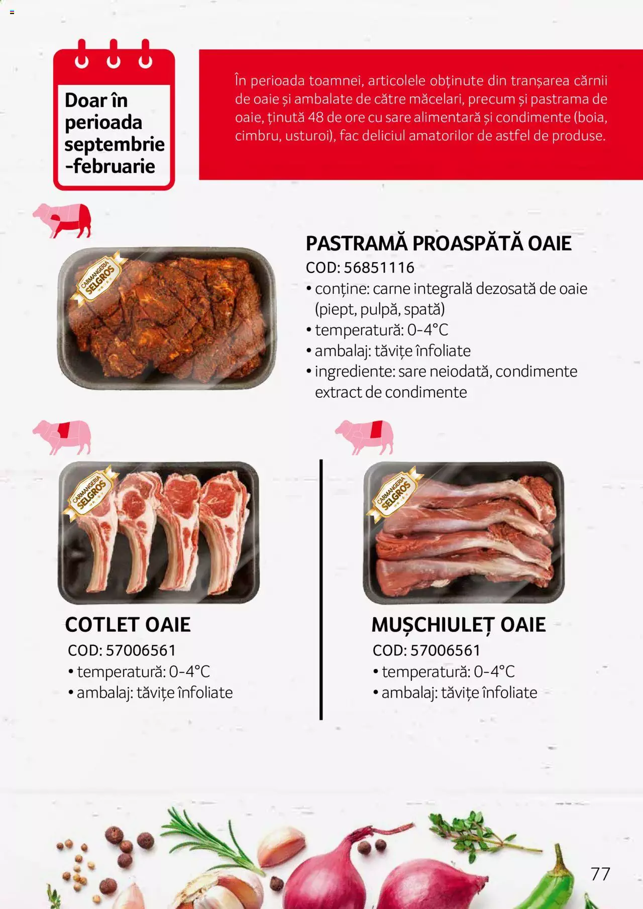 Catalog Selgros 27 Aprilie - 31 Decembrie 2023 | Pagina 77