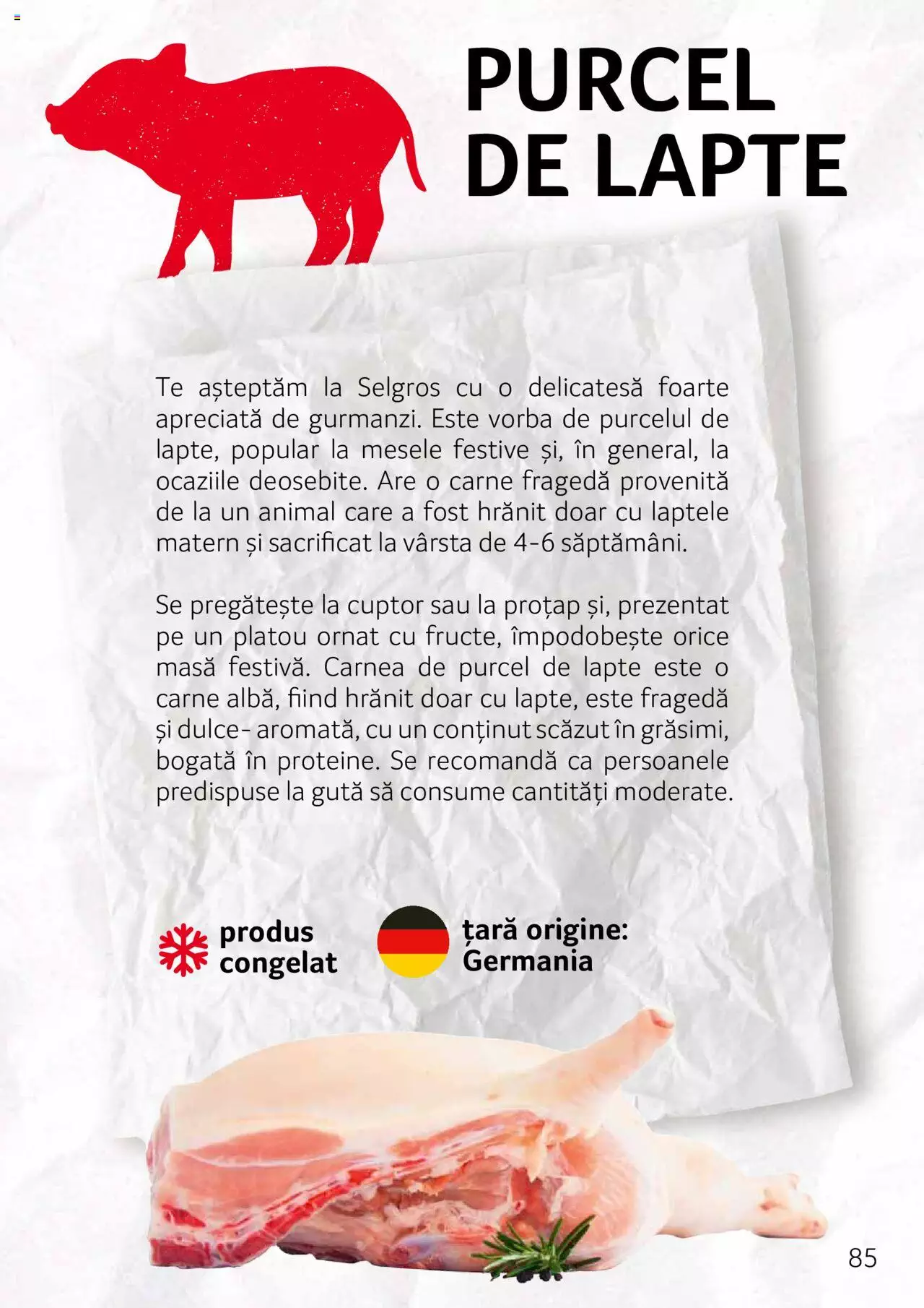 Catalog Selgros 27 Aprilie - 31 Decembrie 2023 | Pagina 85
