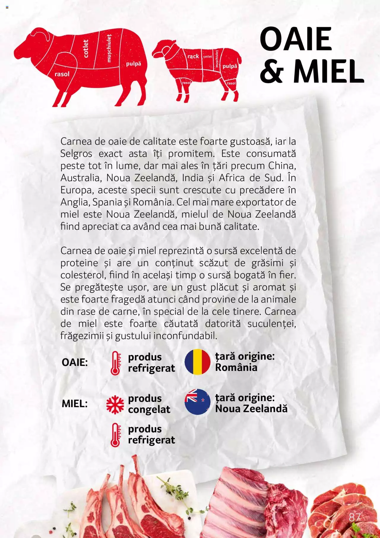 Catalog Selgros 27 Aprilie - 31 Decembrie 2023 | Pagina 87