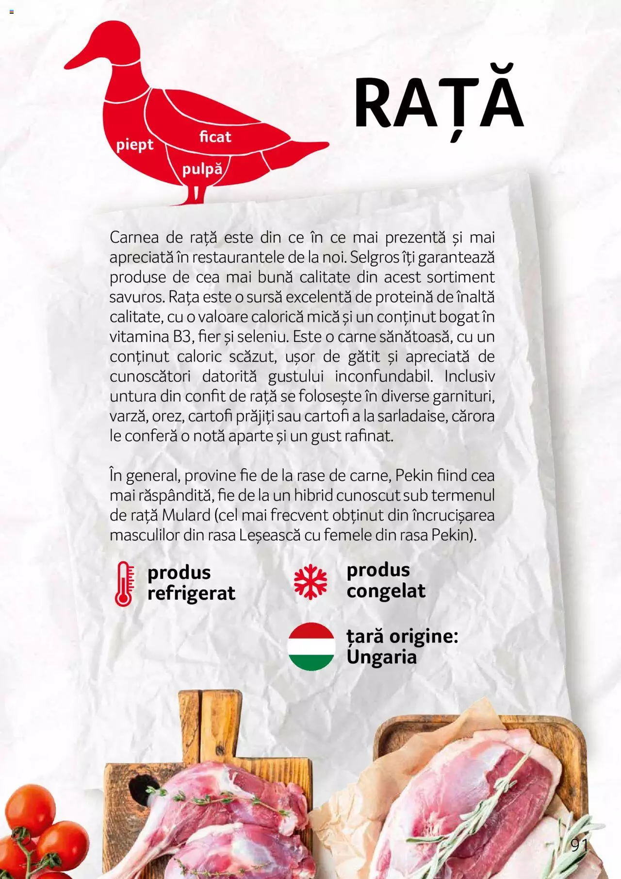 Catalog Selgros 27 Aprilie - 31 Decembrie 2023 | Pagina 91