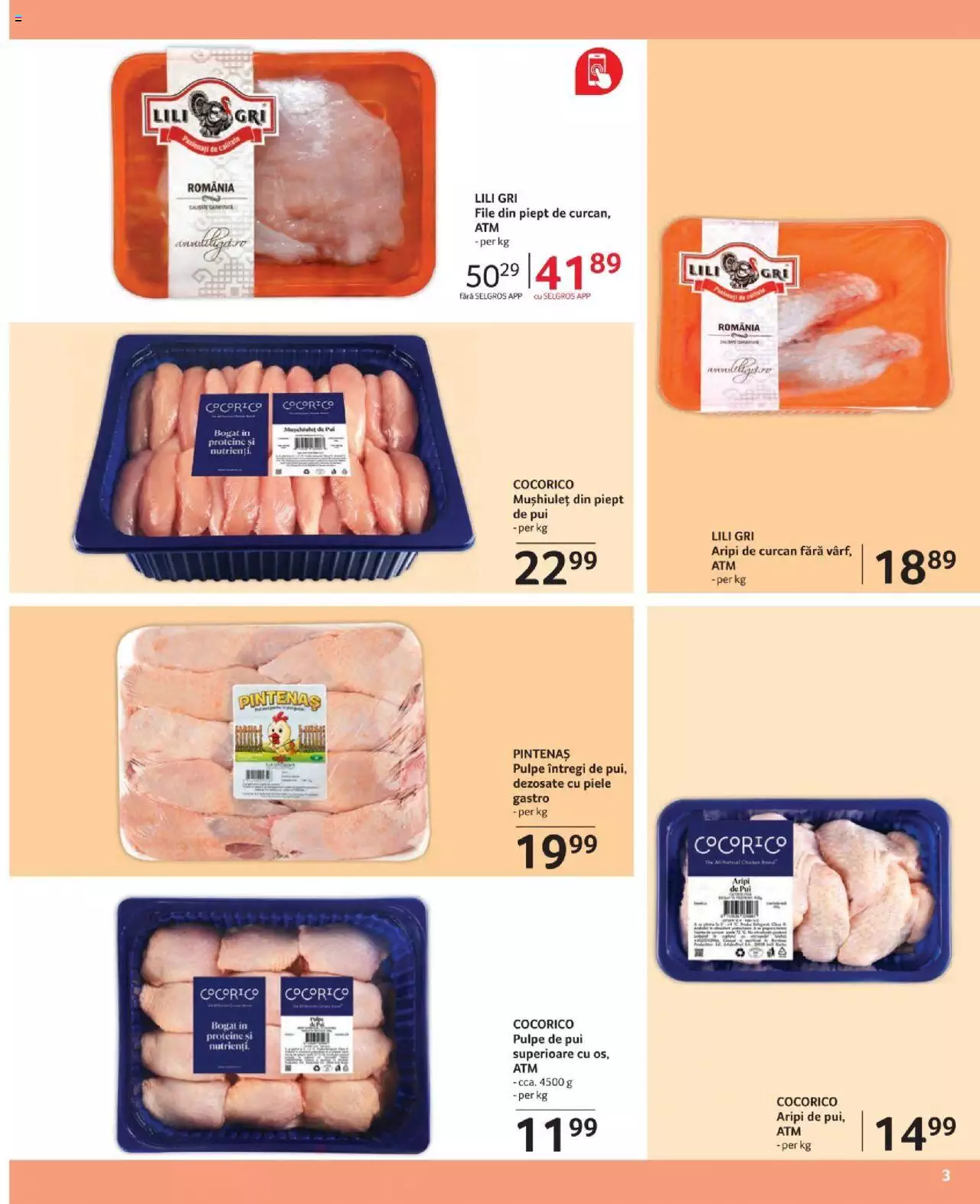 Catalog Selgros 1 - 31 Mai 2023 | Pagina 3
