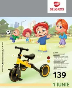 Catalog Selgros