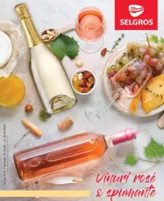 Catalog Selgros