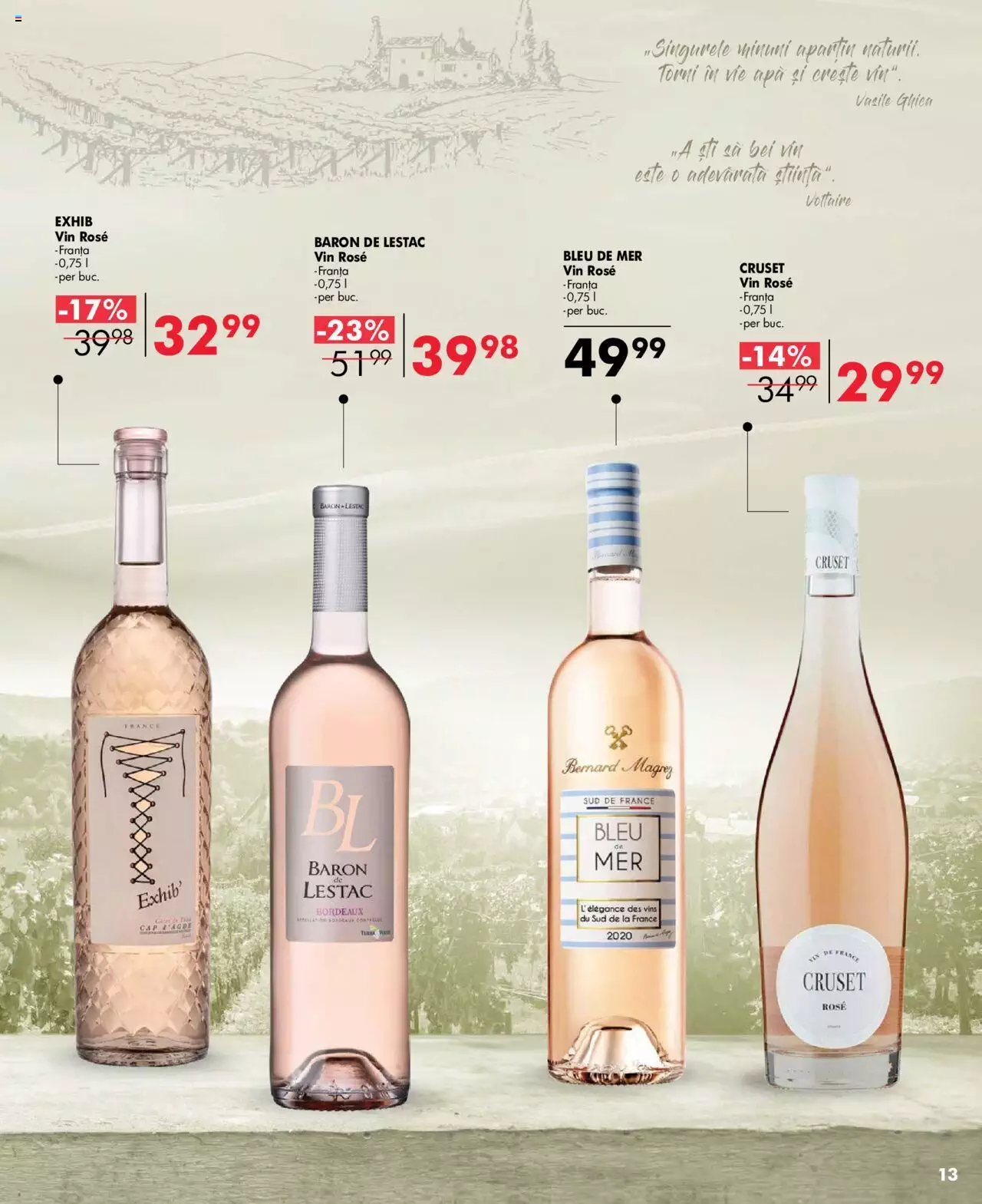 Catalog Selgros 26 Mai - 8 Iunie 2023 | Pagina 13