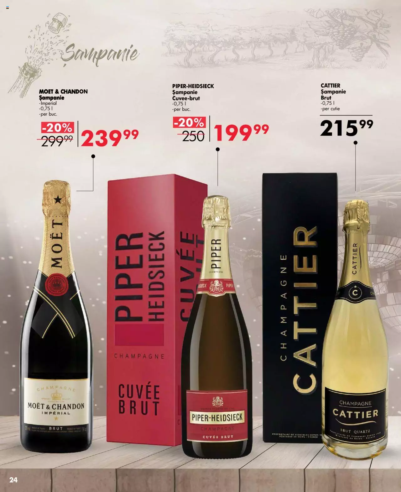Catalog Selgros 26 Mai - 8 Iunie 2023 | Pagina 24