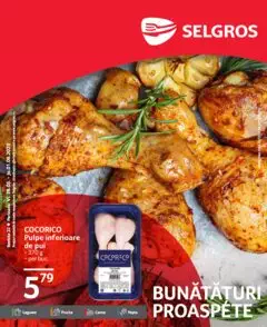 Catalog Selgros
