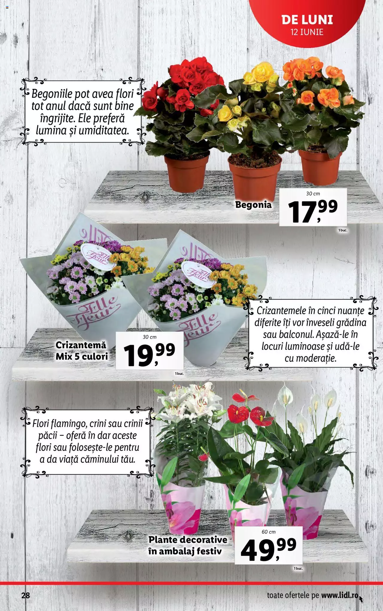 Catalog LIDL 12 - 18 Iunie 2023 | Pagina 28