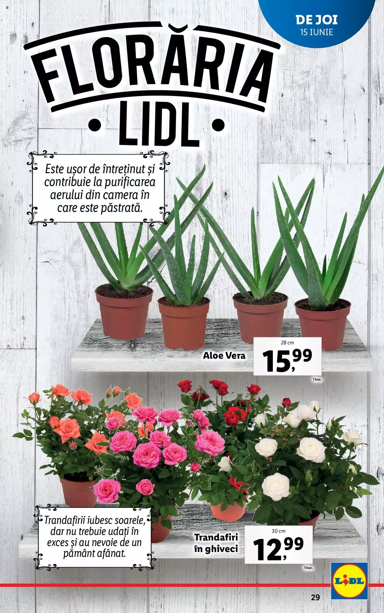 Catalog LIDL 12 - 18 Iunie 2023 | Pagina 29