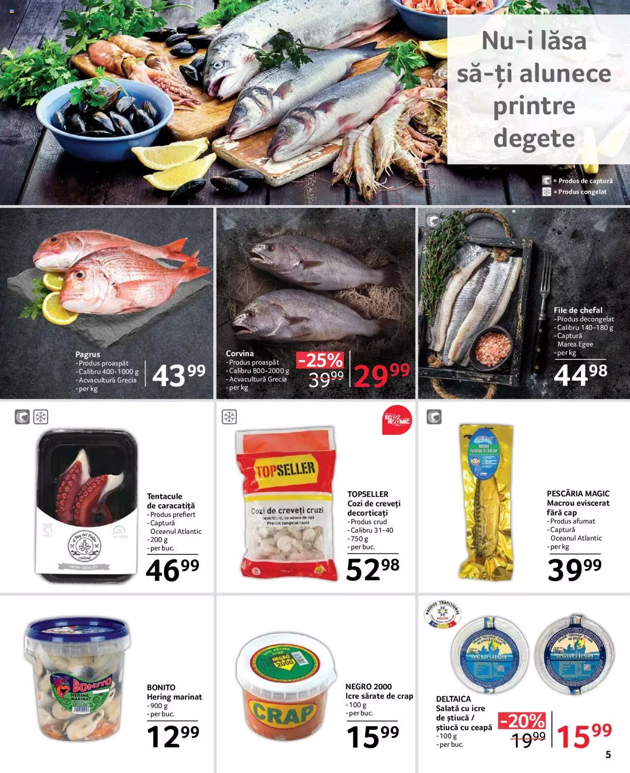 Catalog Selgros 9 - 22 Iunie 2023 | Pagina 5
