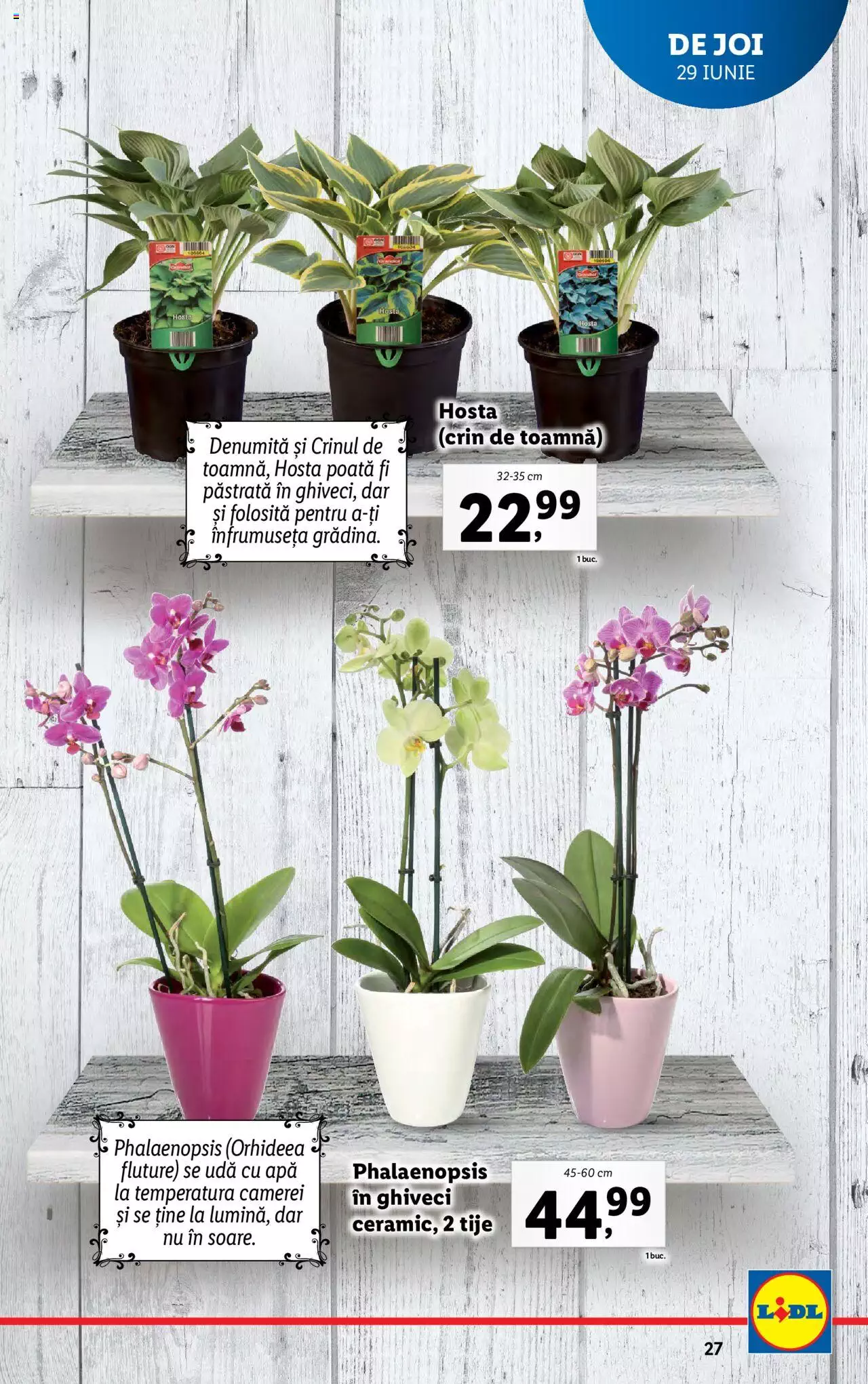 Catalog LIDL 26 Iunie - 2 Iulie 2023 | Pagina 27